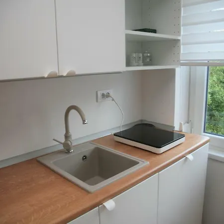 Central Apartment, One Bedroom, Four Guests * סראייבו